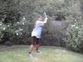 Batting Stances: 2008 playoff Red Sox