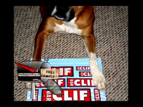 Free Sample Cliff Bar Stickers