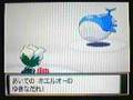 videos de Pokemon Platinum - Top Trainer Cafe - Cheryl