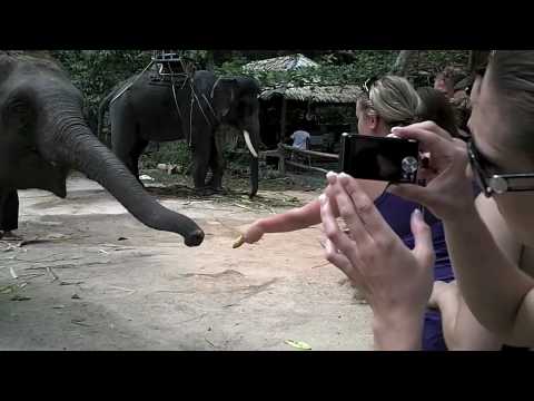 Thailand 2010 Travel Video