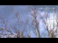 Avvistamento UFO a Rende - Cosenza