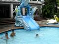 videos de Swimming Fun 2 - oct 29, 2008