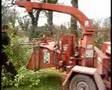 10 Wood Chipper