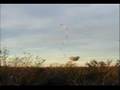 Omega Radio Tower Demolition