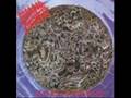 Morbid Angel - Maze of Torment