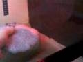 Set up a Bearded Dragon vivarium