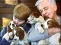 No abandones a tus mascotas