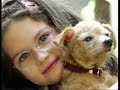 No abandones a tus mascotas