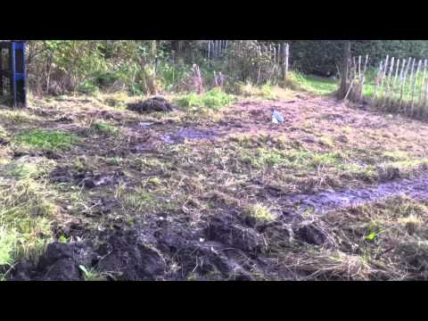 how to drain boggy land