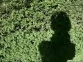 shadow play - video poem