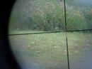 buckwild-06-reprint-teaser.html
