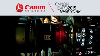 Prototype de capteur canon de ... 250Mio de pixels...