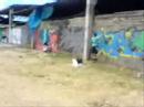 1� Encontro de Graffiti em Fortaleza