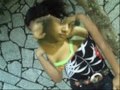 elayne eternamente