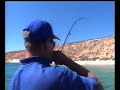 Mackerel-Fishing-wit