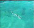 Mackerel Fishing with LAZER LURES - www.lazerlures.com