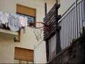 super dunk