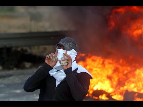 days - The death toll among Palestinians from Israeli offensive in the Gaza Strip reached above 500. This signals some of the bloodiest days in the region and intensifies pressure for a ceasefire...