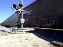 train watching