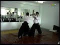martial arts   aikido hard