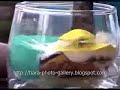 The Amazing Art Of Sand