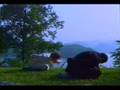 Taoist Qi Gong 12 Posture
