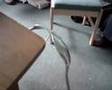 Fork And Spoon Balance