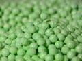 Click here to watch this video Sconza Candy Screamers