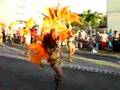 Carnaval 2007 En Guadeloupe