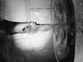 Crossing Over - Julia Carax