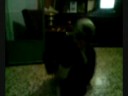 El viejecito bailando El viejecito bailando