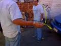 borrachos golpeandose con una cuerda (el comienzo)