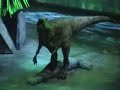 Walking With Dinosaurs Live 1