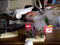 Sentilla IR tracking 02
