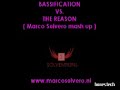 Bassification vs. The Reason ( Marco Solvero mashup )