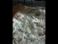 snowbirds.mov