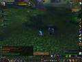 Blizz GM's/Devs vs Honour Contest Winners in WSG