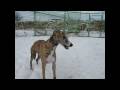 Neka & Ebony having fun on the snow