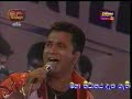 sunflower...live patt 4 sunflower...live patt 4
