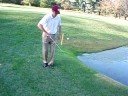 Maddog = Tiger