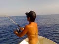 pesca alla lampuga dalla barca trainando un artificiale in gomma