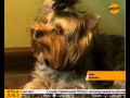 Смотреть видео
