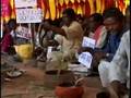 Indian Snake Charmers Demand Jobs