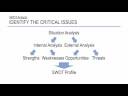 Business Plan Tips : SWOT Business Analysis