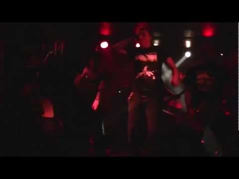 Youtube Video pSEM-vRoDGs