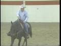 Training Tips: Neck Reining and Pivoting, part 1, eXtension