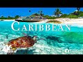 CARIBBEAN 4K - RELAXING MUSIC ALONG WITH BEAU ..