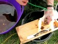 Electro fishing for salmon parr and fry Electro fishing for salmon parr and fry