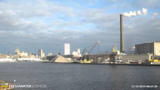 HD Webcam Timelapse 11-13-2015 08:00-08:59
