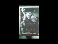 Click here to watch this video David Thomas - The Birds Are a Good Idea